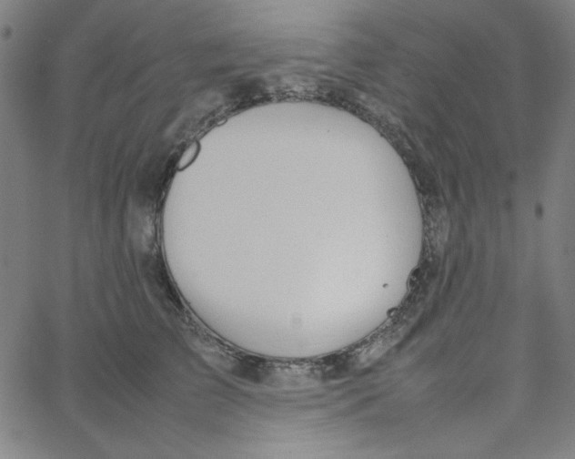 X0000067520709200604281634