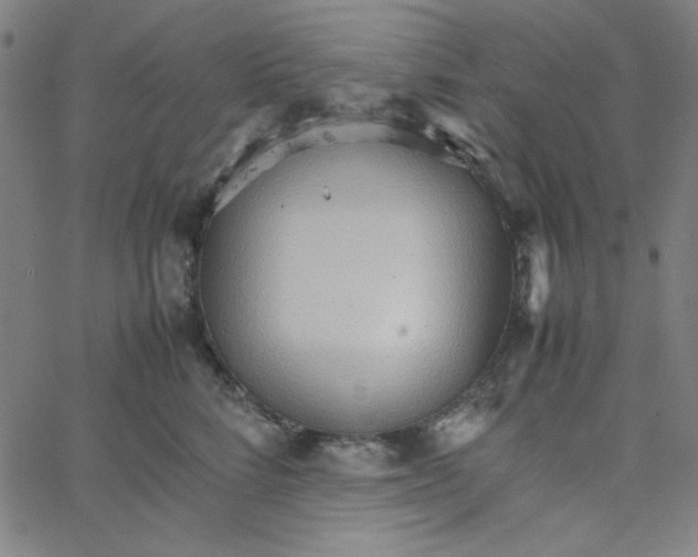 X0000067520712200604281634