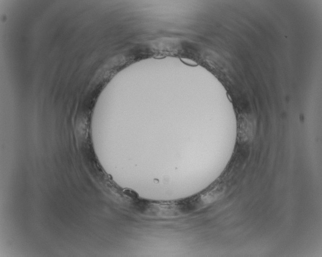 X0000067520713200604281634