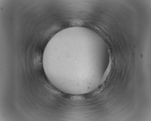 X0000067520714200604281634