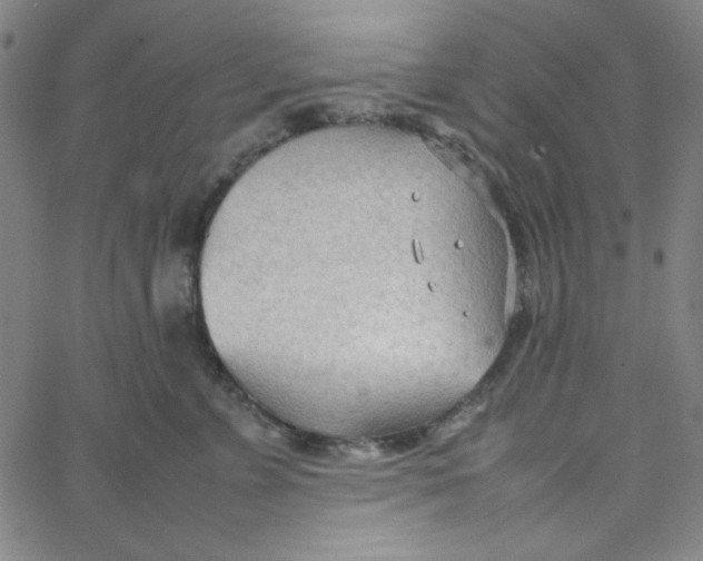 X0000067520715200604281634