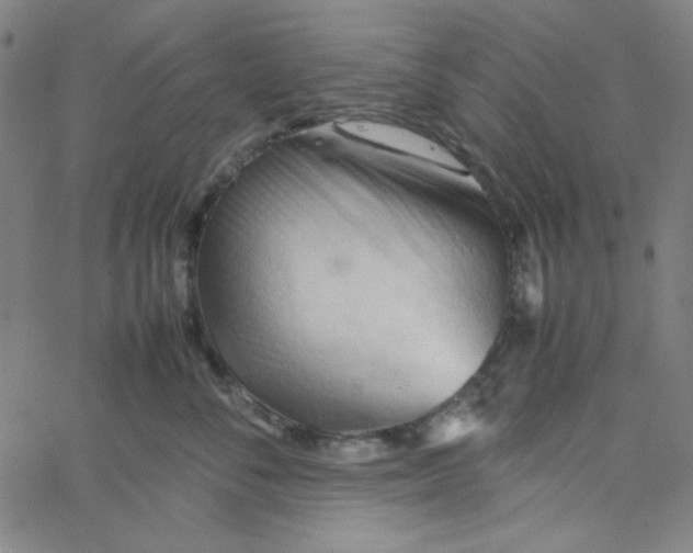 X0000067520716200604281634