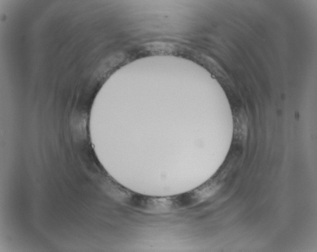 X0000067520717200604281634