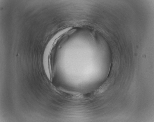 X0000067520720200604281634