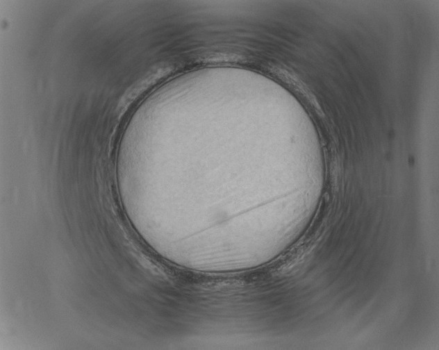 X0000067520721200604281633