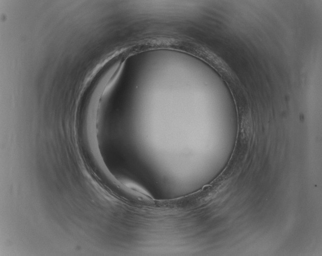 X0000067520722200604281633