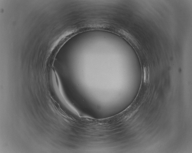 X0000067520723200604281633