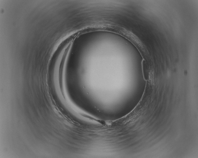 X0000067520724200604281633