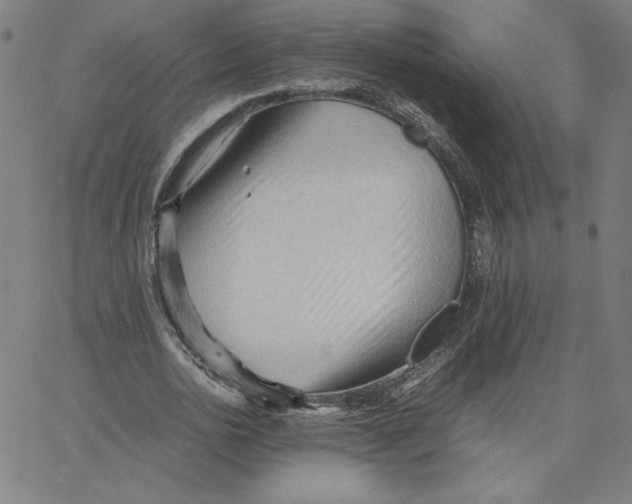 X0000067520726200604281633