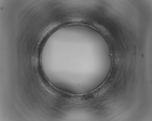 X0000067520728200604281633