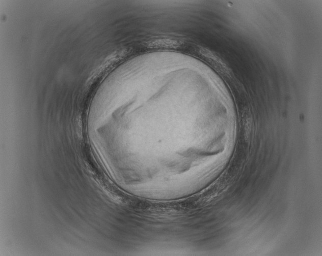 X0000067520729200604281633