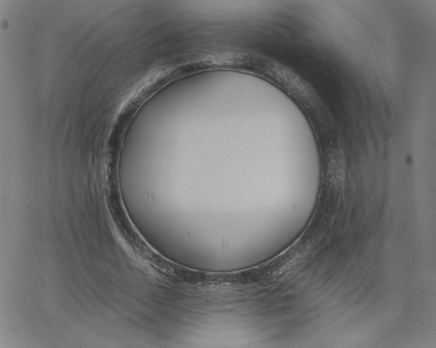 X0000067520730200604281633