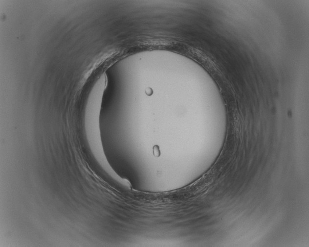 X0000067520731200604281633