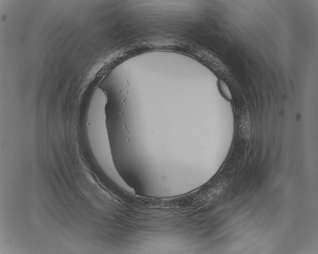 X0000067520732200604281633