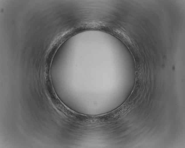 X0000067520736200604281633