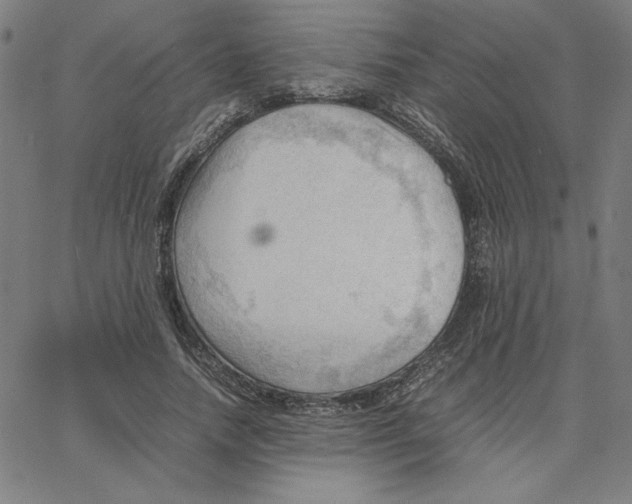 X0000067520738200604281633