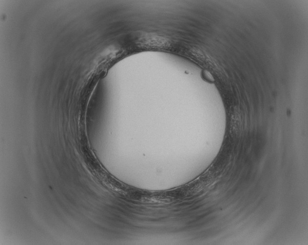 X0000067520739200604281633