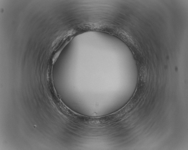 X0000067520740200604281633