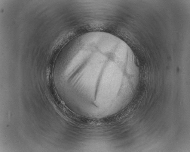 X0000067520742200604281633