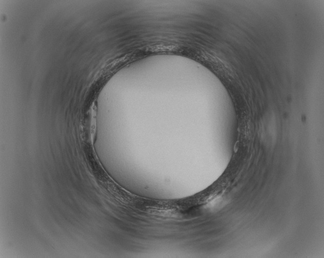 X0000067520743200604281633