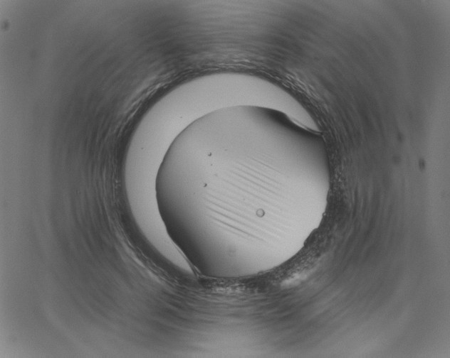 X0000067520744200604281633