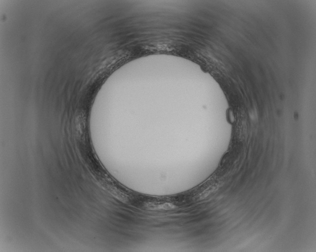 X0000067520747200604281633