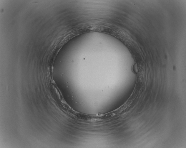 X0000067520748200604281634