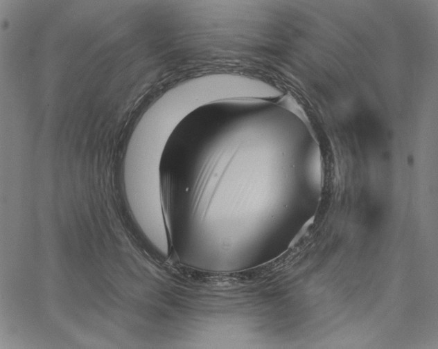 X0000067520750200604281634