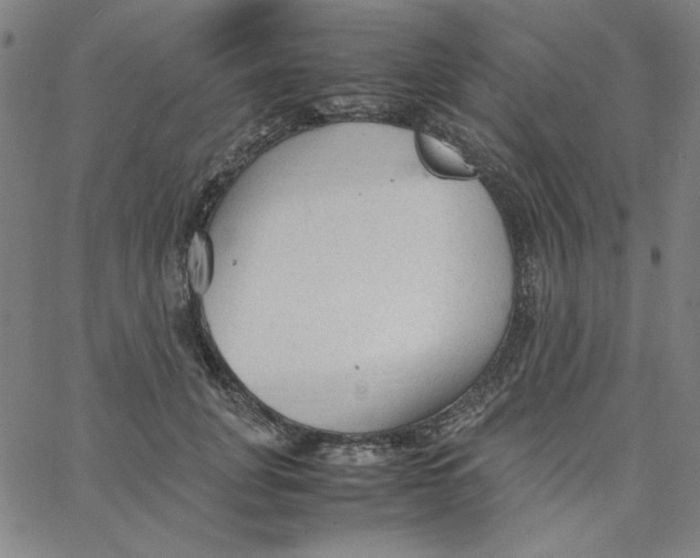 X0000067520751200604281634