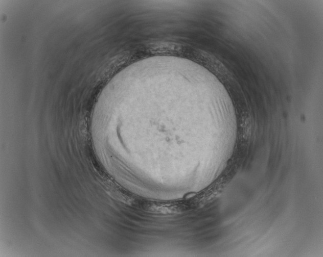 X0000067520753200604281634