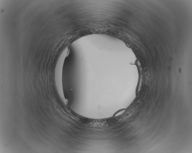 X0000067520756200604281634