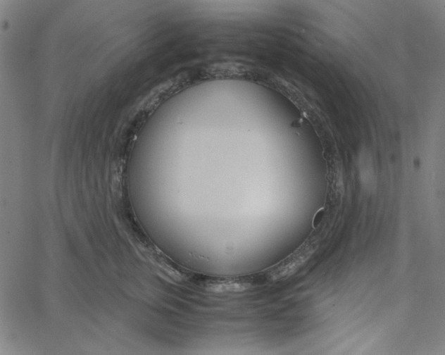 X0000067520759200604281634