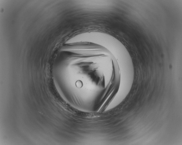 X0000067520760200604281634