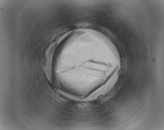 X0000067520761200604281634