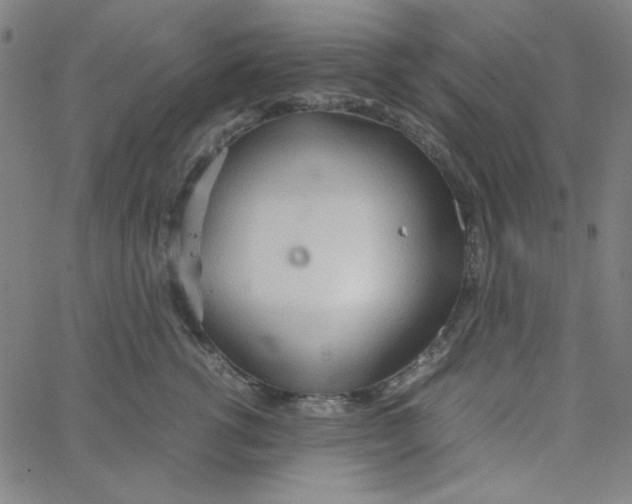 X0000067520762200604281634