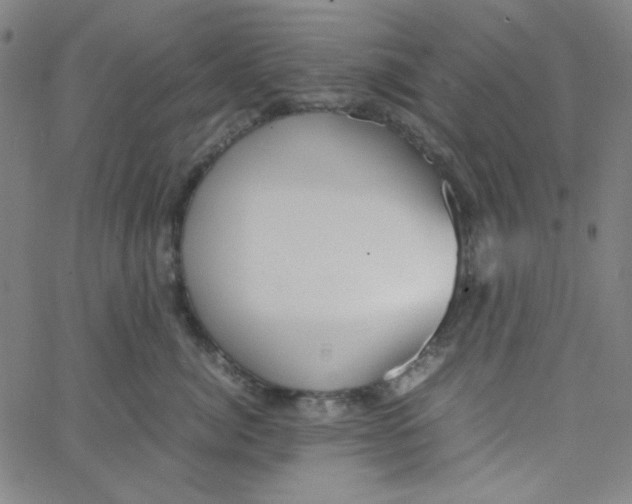 X0000067520764200604281634