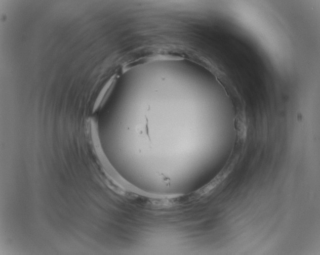 X0000067520766200604281634