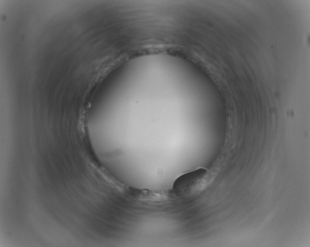 X0000067520768200604281634