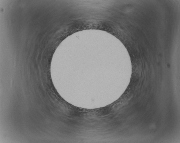 X0000067520769200604281633