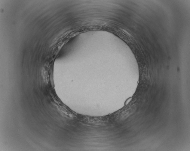 X0000067520774200604281633