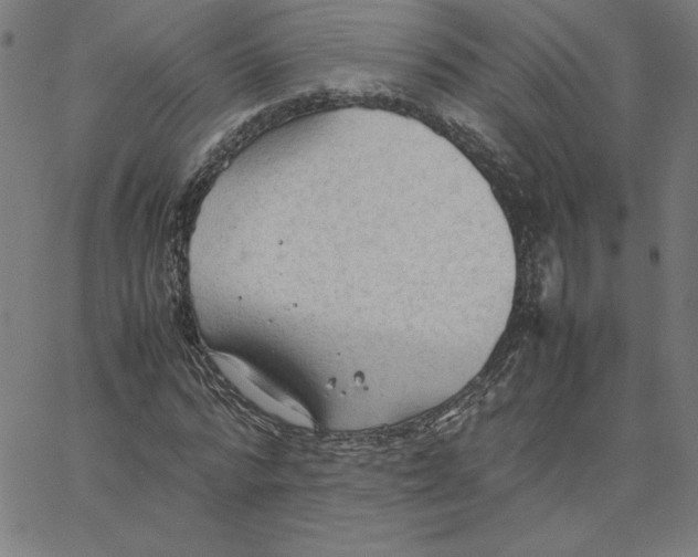 X0000067520776200604281633