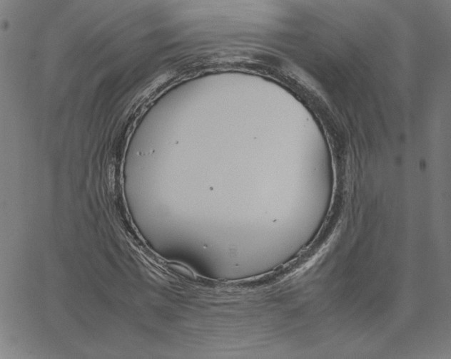 X0000067520777200604281633