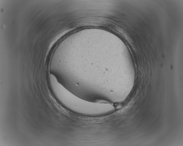 X0000067520779200604281633