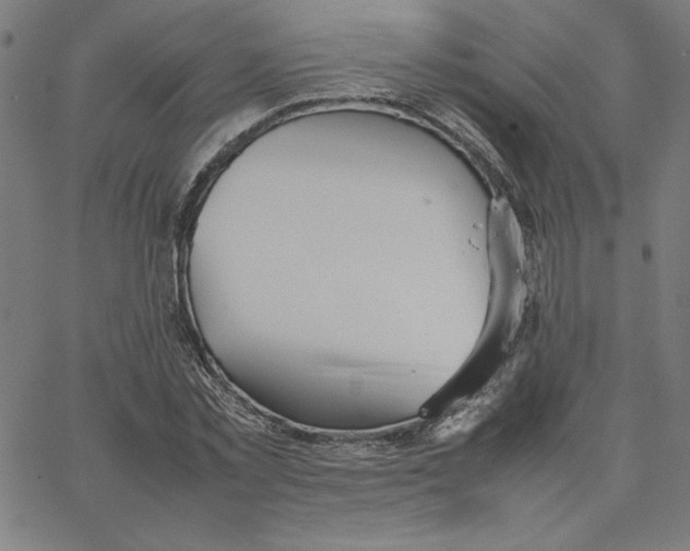 X0000067520781200604281633