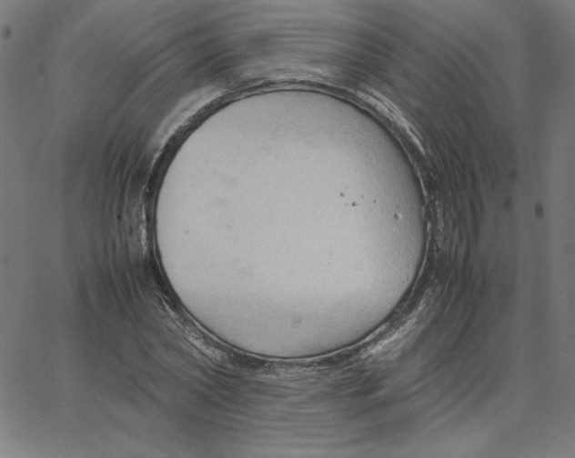 X0000067520782200604281633