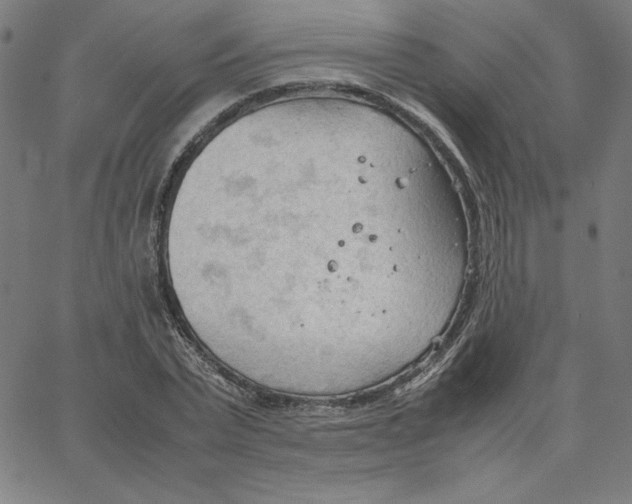 X0000067520783200604281633