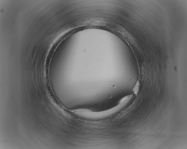 X0000067520784200604281633