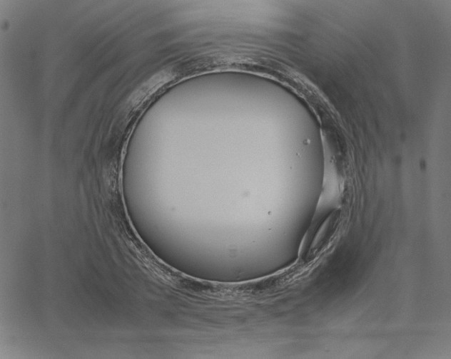 X0000067520785200604281633