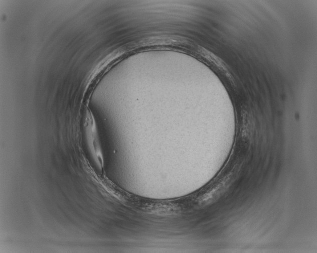 X0000067520786200604281633