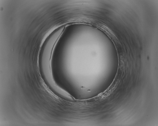 X0000067520788200604281633